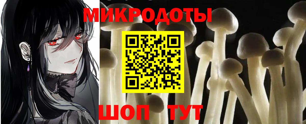 Дмитров  Псилоцибиновые грибы GOLDEN TEACHER  Вход с VPN 