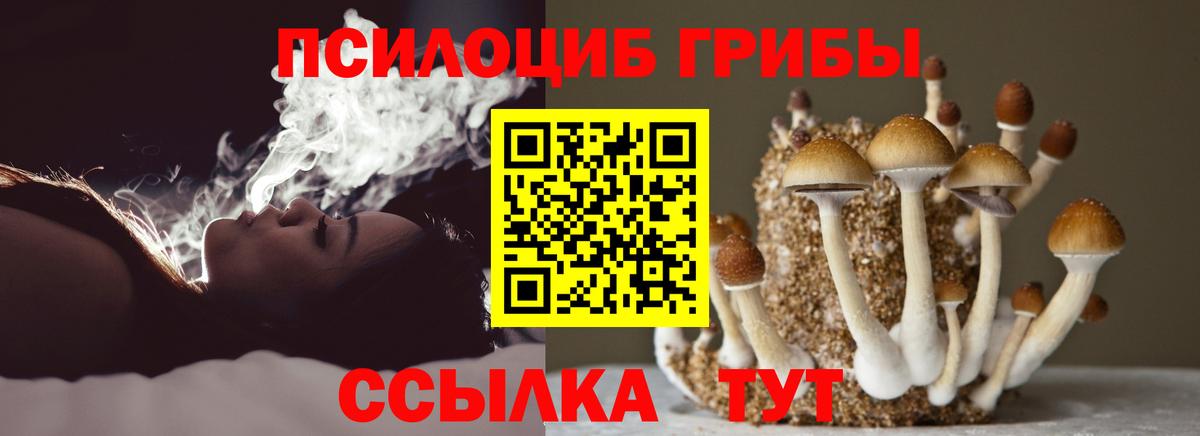 Галлюциногенные грибы прущие грибы Дмитров
